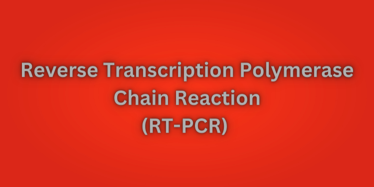 Reverse Transcription Polymerase Chain Reaction