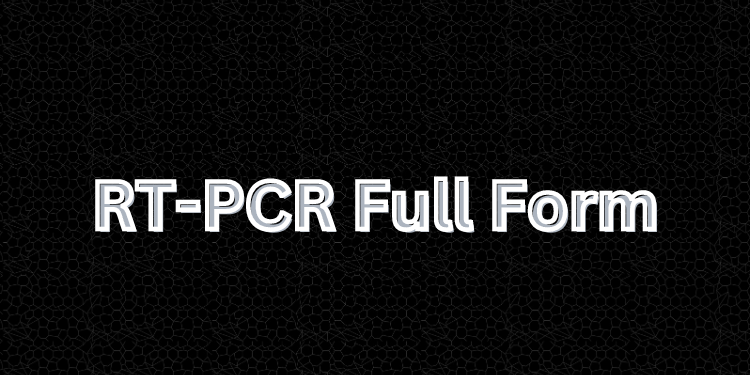 RT-PCR Full Form