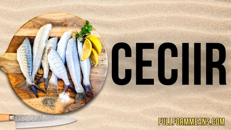 Ceciir: Turkish Food and Cultural Significance