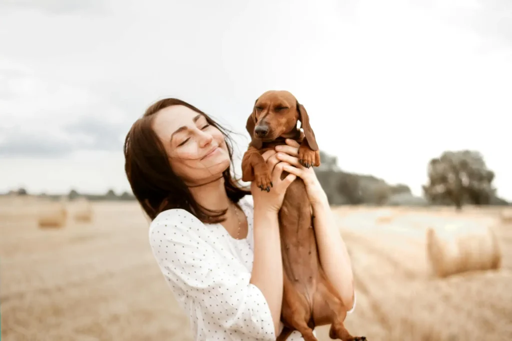 Common Behavioral Problems of Dachshunds - Why Dachshunds Are The Worst Breed Reasons