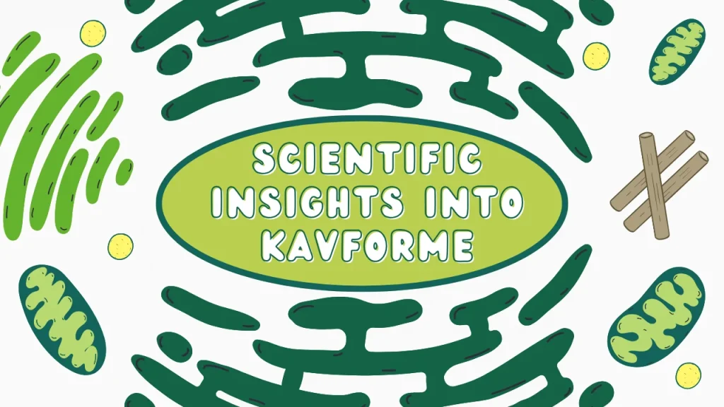 Scientific Insights into Kavforme