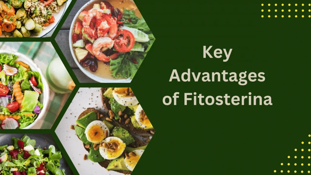 Key Advantages of Fitosterina