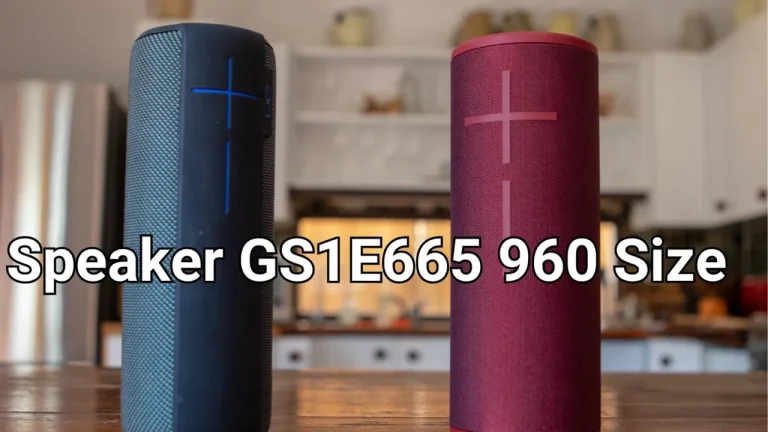Speaker GS1E665 960 Size